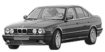 BMW E34 P1909 Fault Code